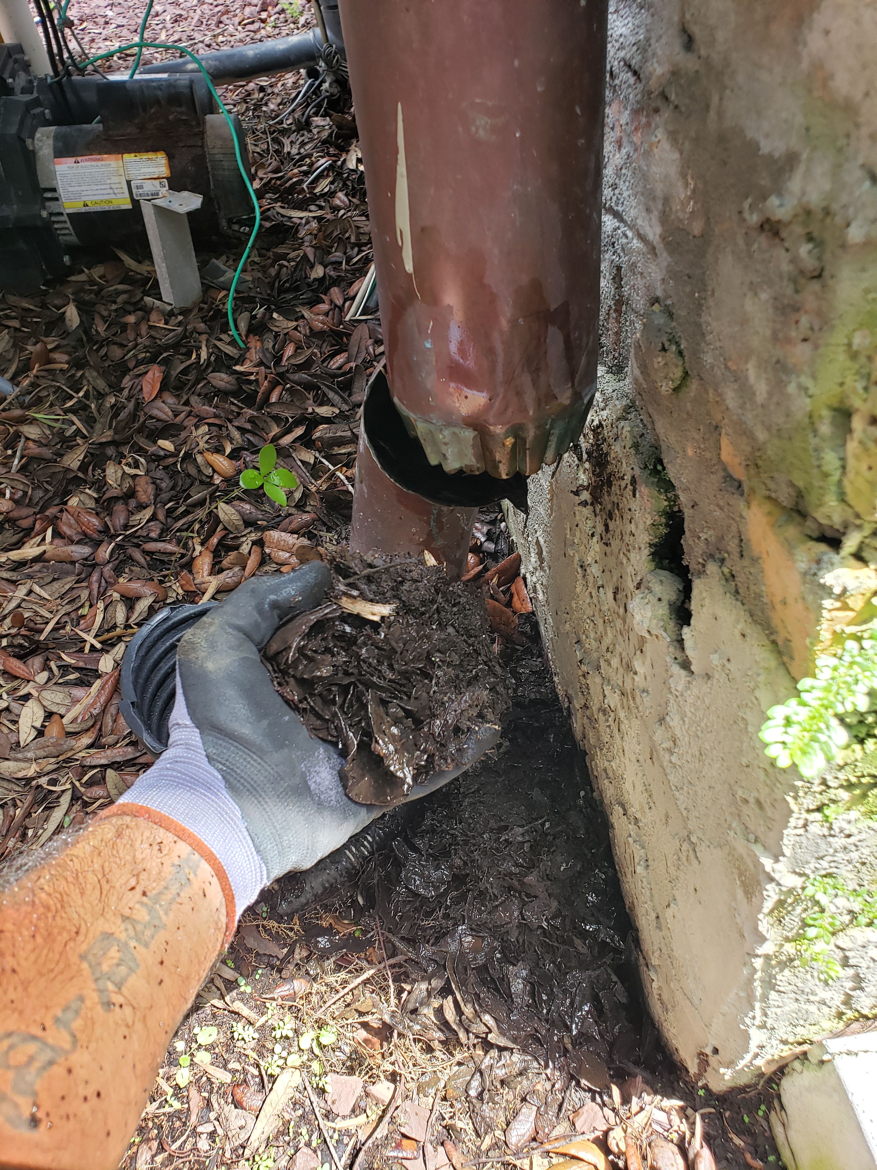 Gutter Cleaning for Sam's French Drains and Landscape in Orlando, Florida