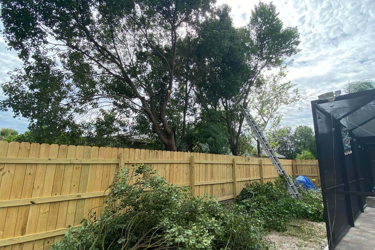 Lawn Care for Verimay's Garden and Landscaping in Hillsborough County, FL