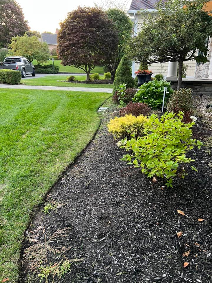 Lawn Care in Albany, New York Bumblebee Lawn Care LLC