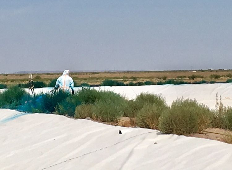R.O.W. Vegetation Management for Maverick Weed & Pest Control in Pecos, TX