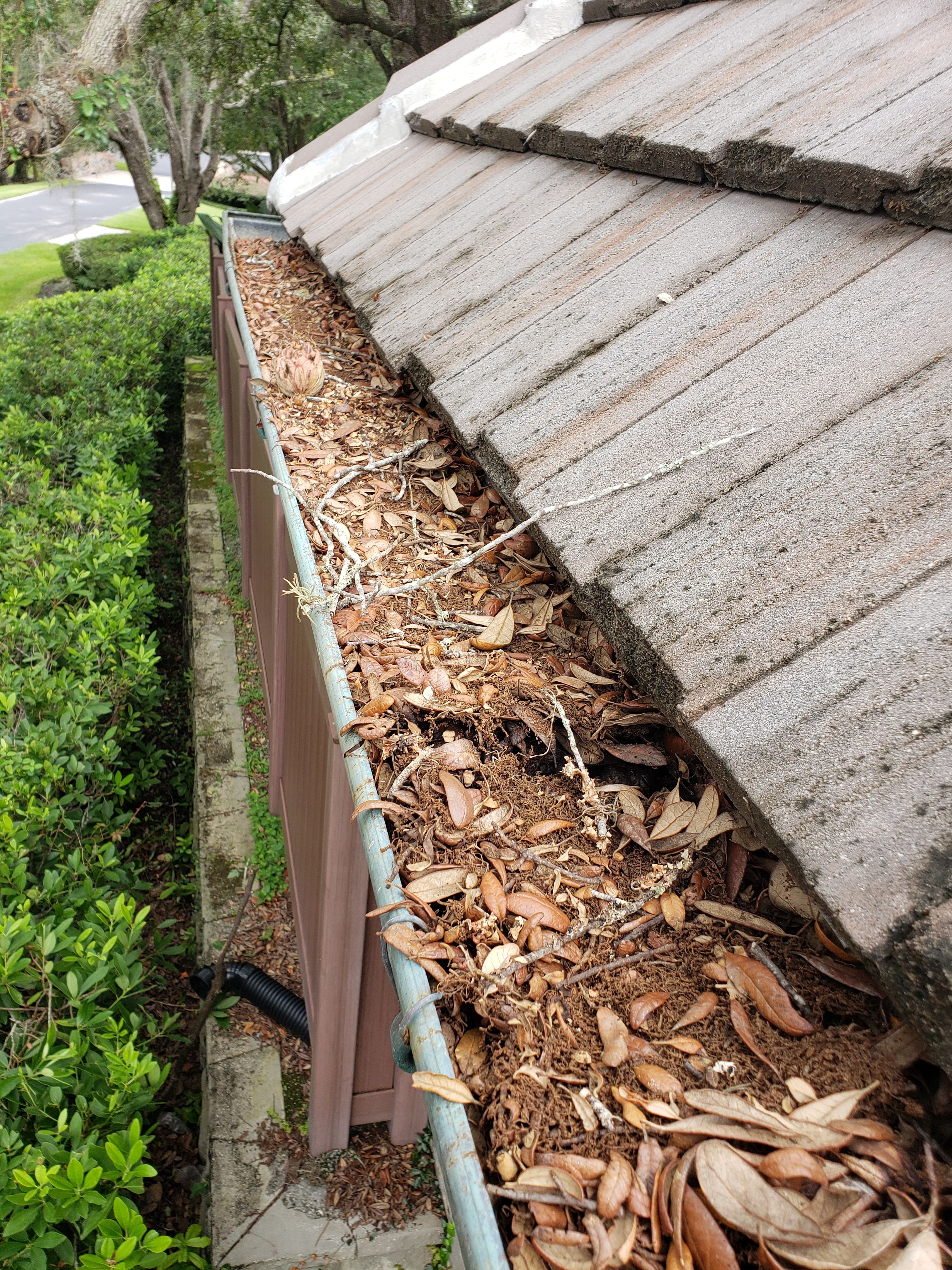 Gutter Cleaning for Sam's French Drains and Landscape in Orlando, Florida