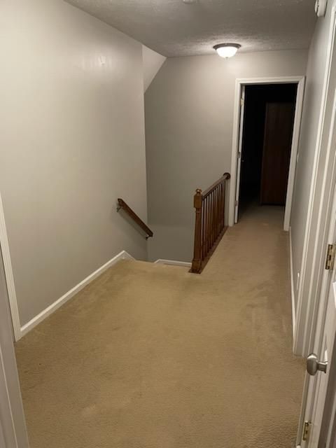 Drywall and Plastering for Roman Painting in Windham, Ohio