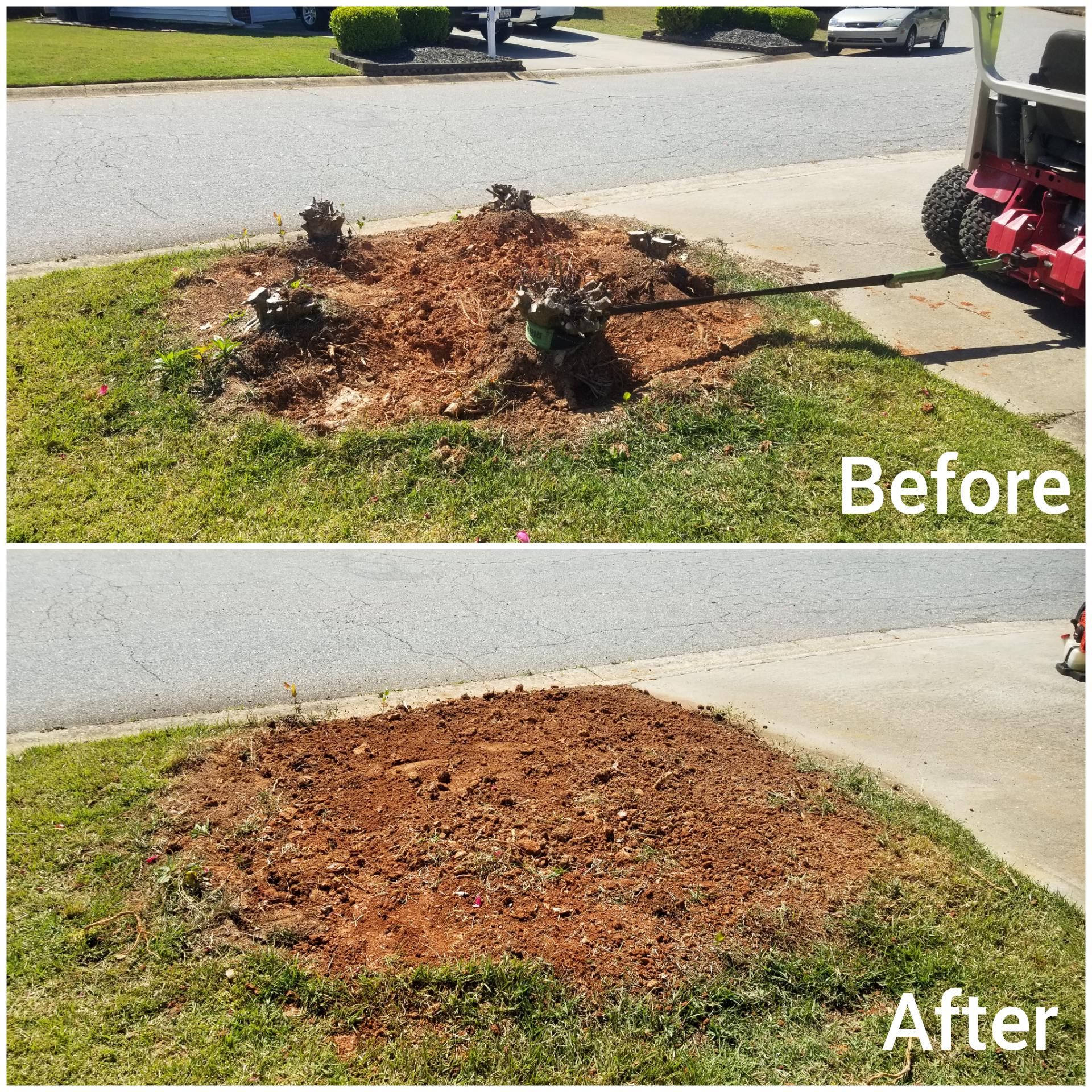 Stump-Grinding for Fayette Property Solutions in Fayetteville, GA