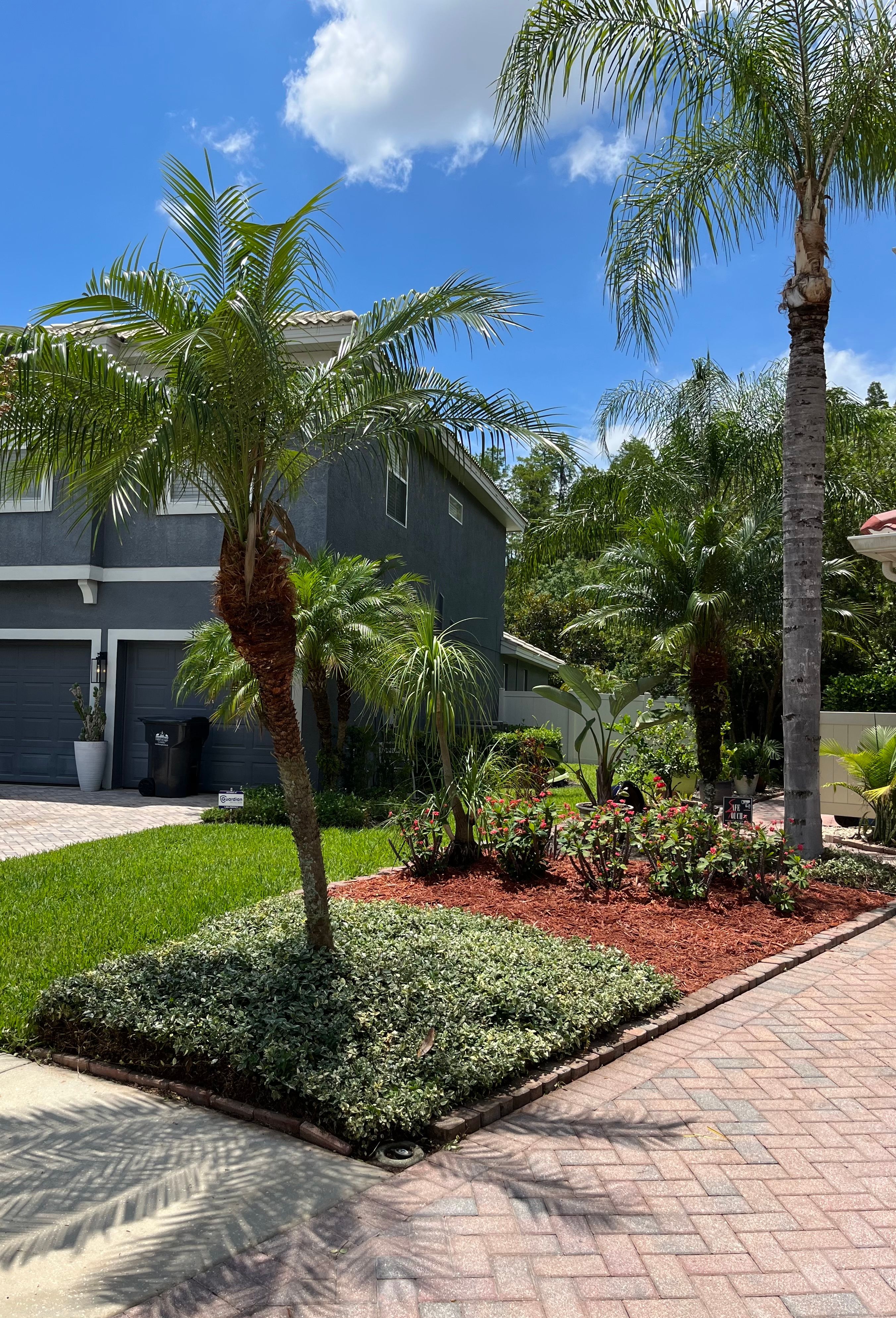 Lawn Care for Verimay's Garden and Landscaping in Hillsborough County, FL