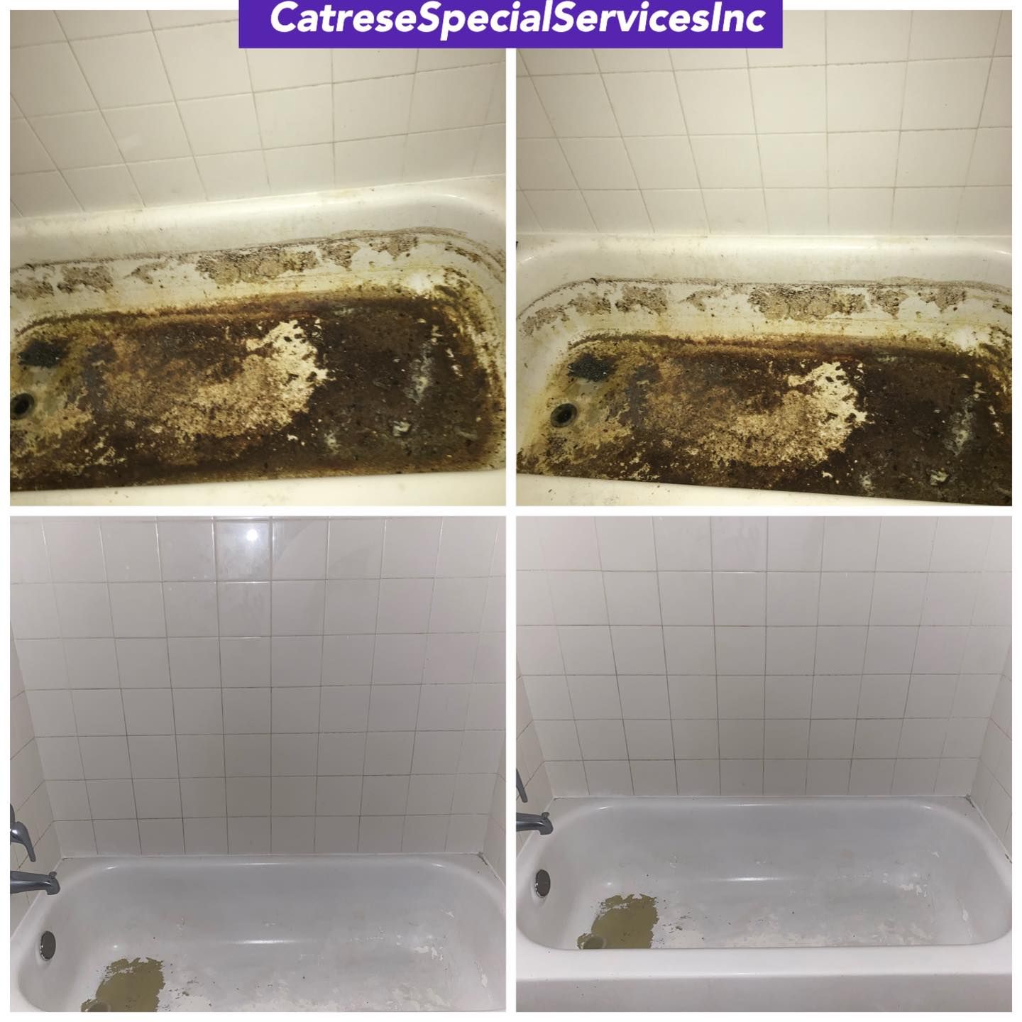 Photo number 1 of Catrese Special Services Inc.'s best work performing a null job