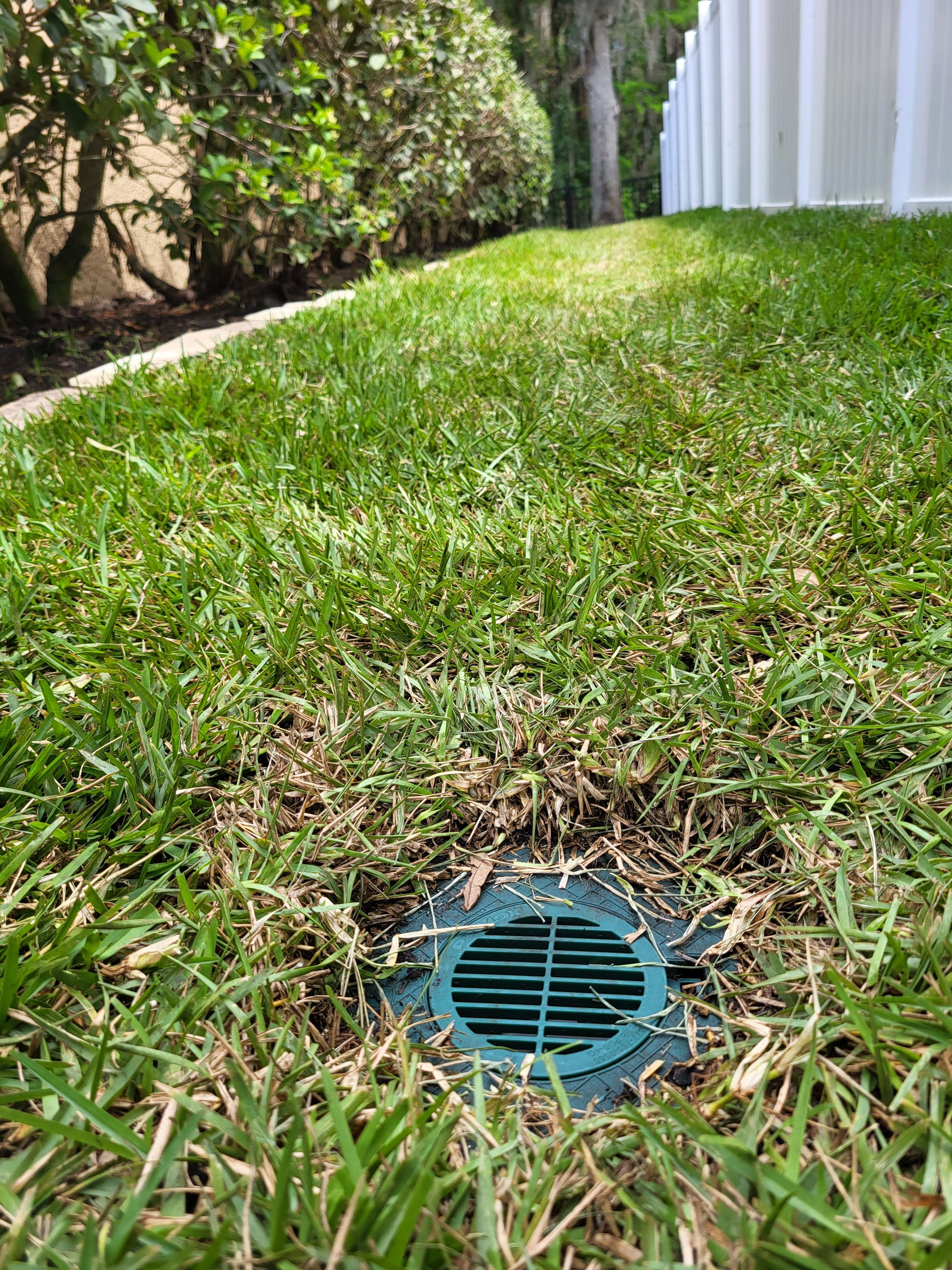 French Drains for Sam's French Drains and Landscape in Orlando, Florida