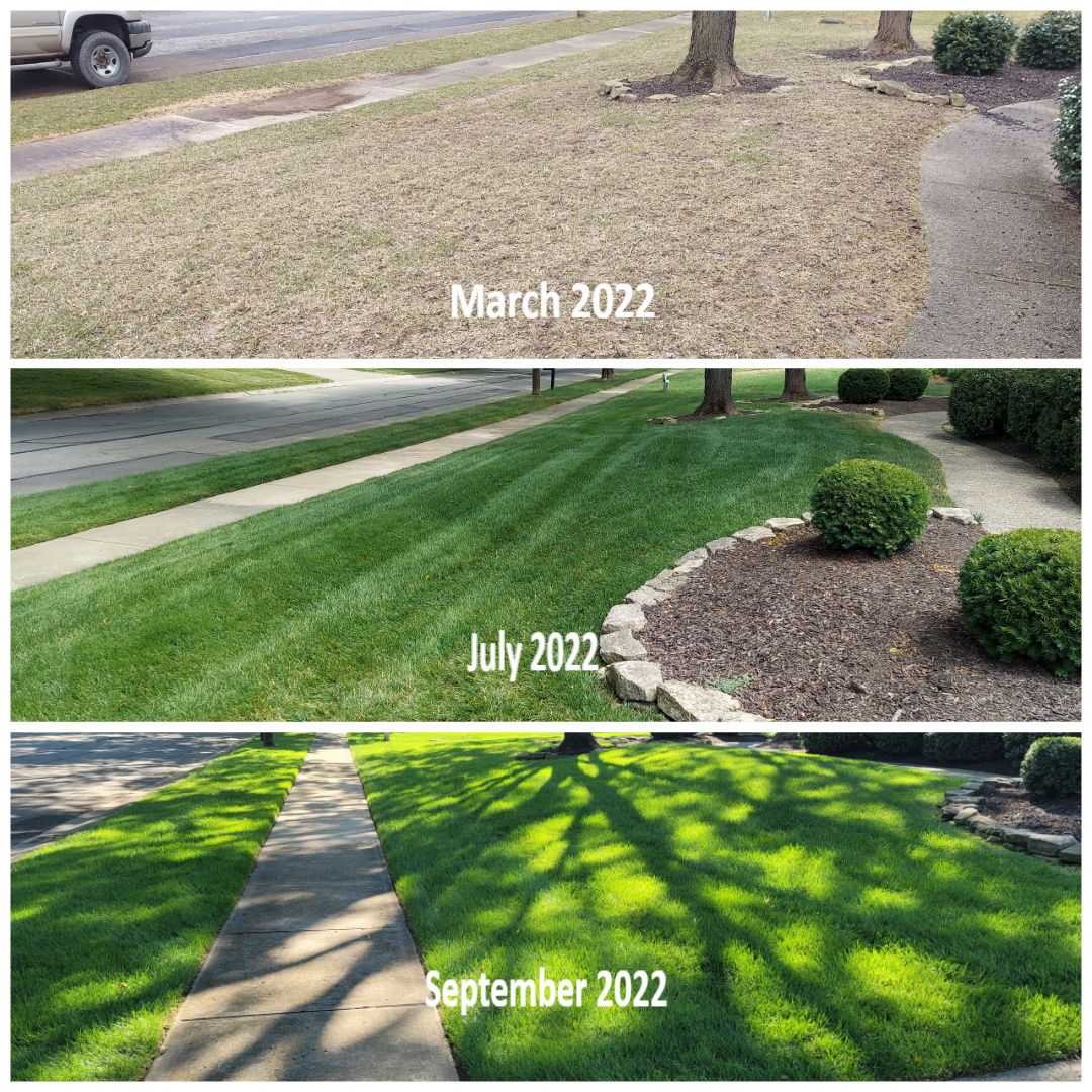 Yard & Driveway Design for P.J.E. Lawn Care & Landscaping in Indianapolis, IN