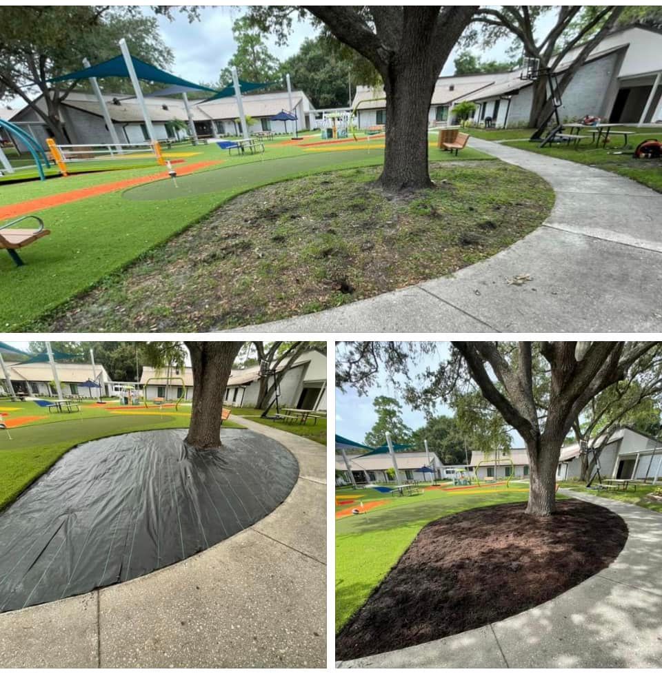 Lawn Care for Verimay's Garden and Landscaping in Hillsborough County, FL