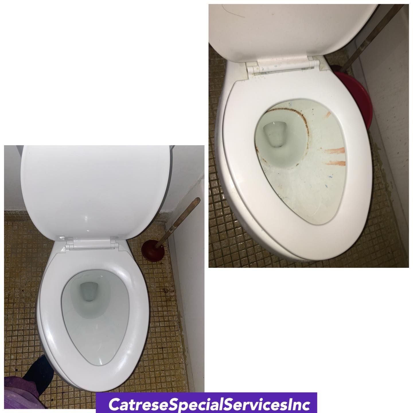 Photo number 5 of Catrese Special Services Inc.'s best work performing a null job