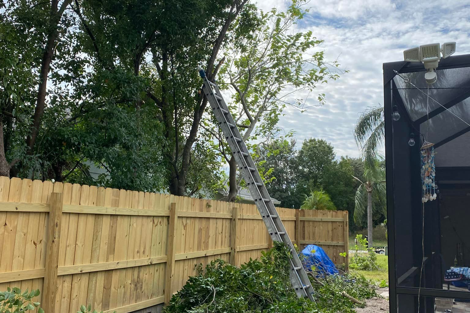 Lawn Care for Verimay's Garden and Landscaping in Hillsborough County, FL