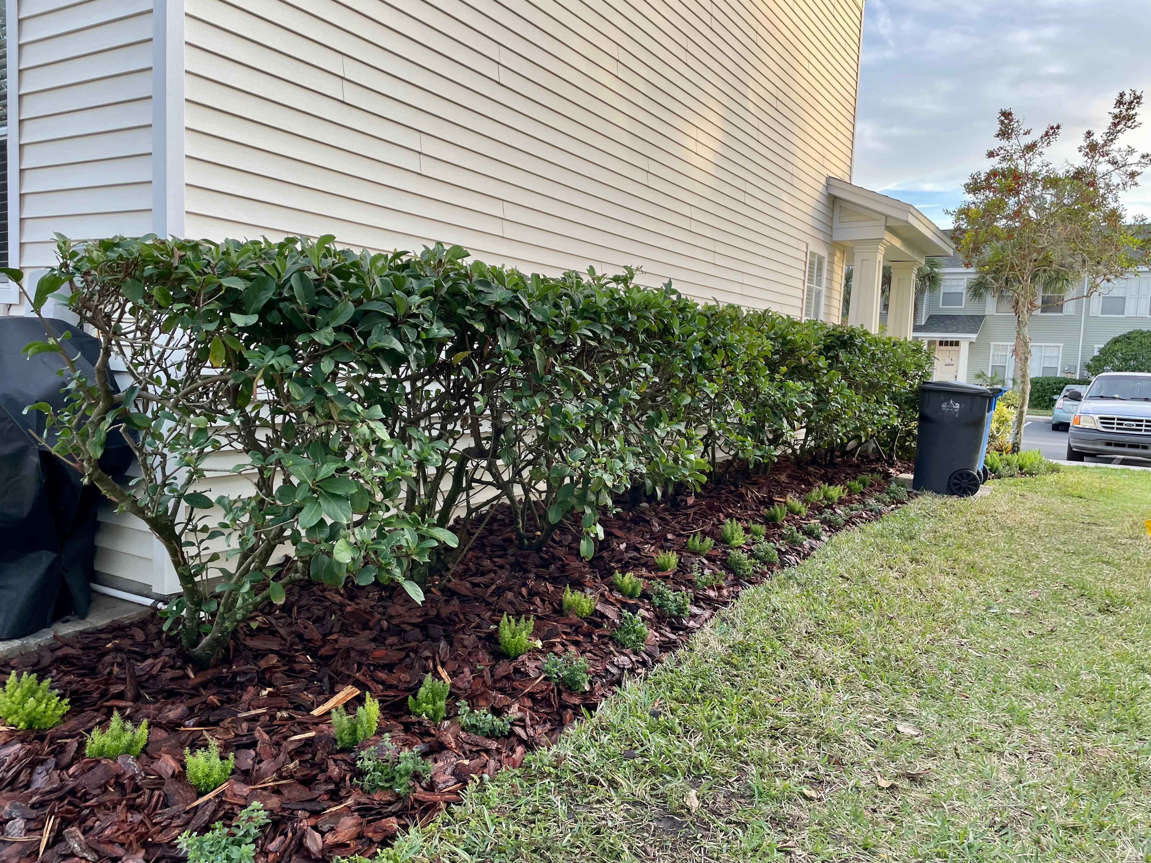 Lawn Care for Verimay's Garden and Landscaping in Hillsborough County, FL