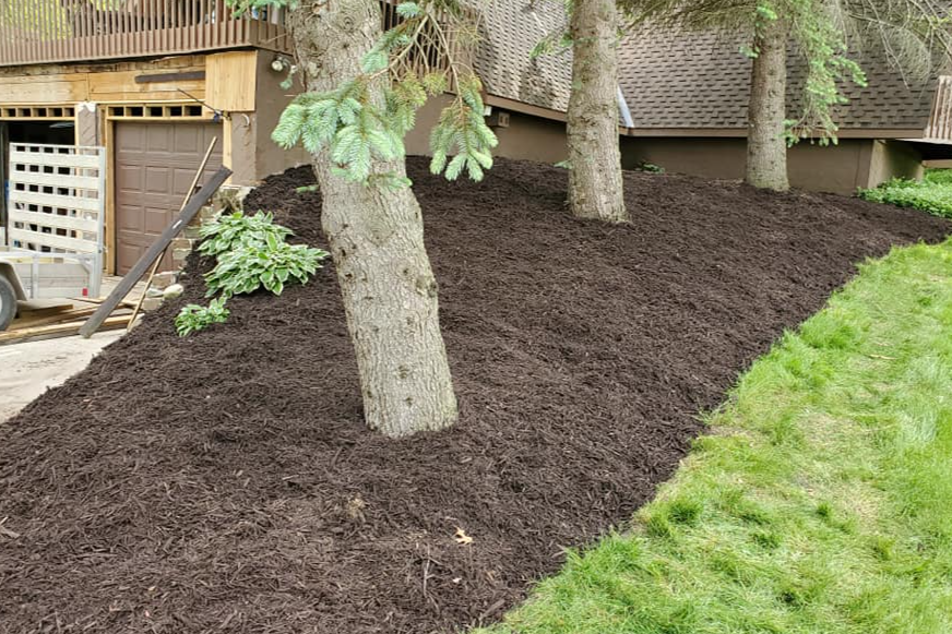 Lawn Care for A&B Landscaping L.L.C. in Lapeer, MI