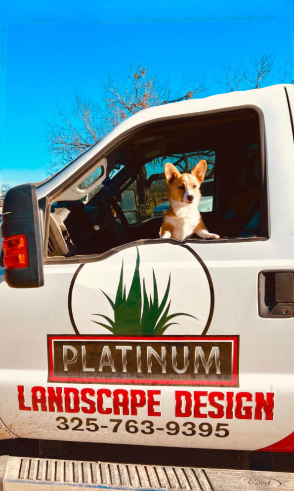 irrigation Installation for Platinum Landscape Design LLC in San Angelo, Texas