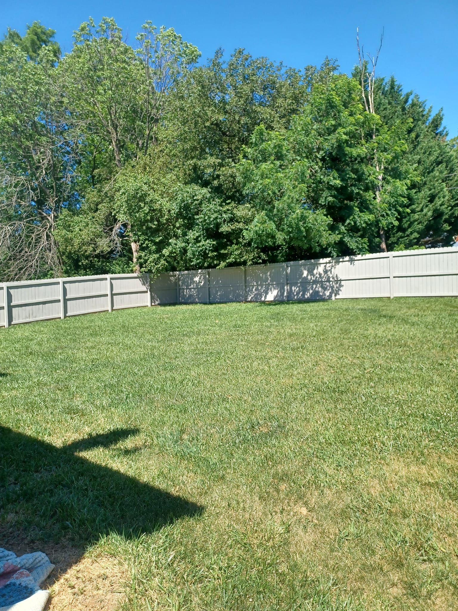 Painting and Staining for T.L.C. Home & Commercial Services LLC in Roanoke, VA