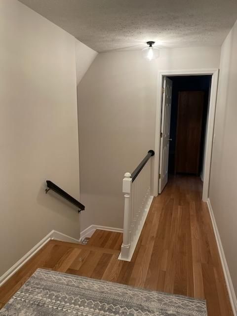 Drywall and Plastering for Roman Painting in Windham, Ohio