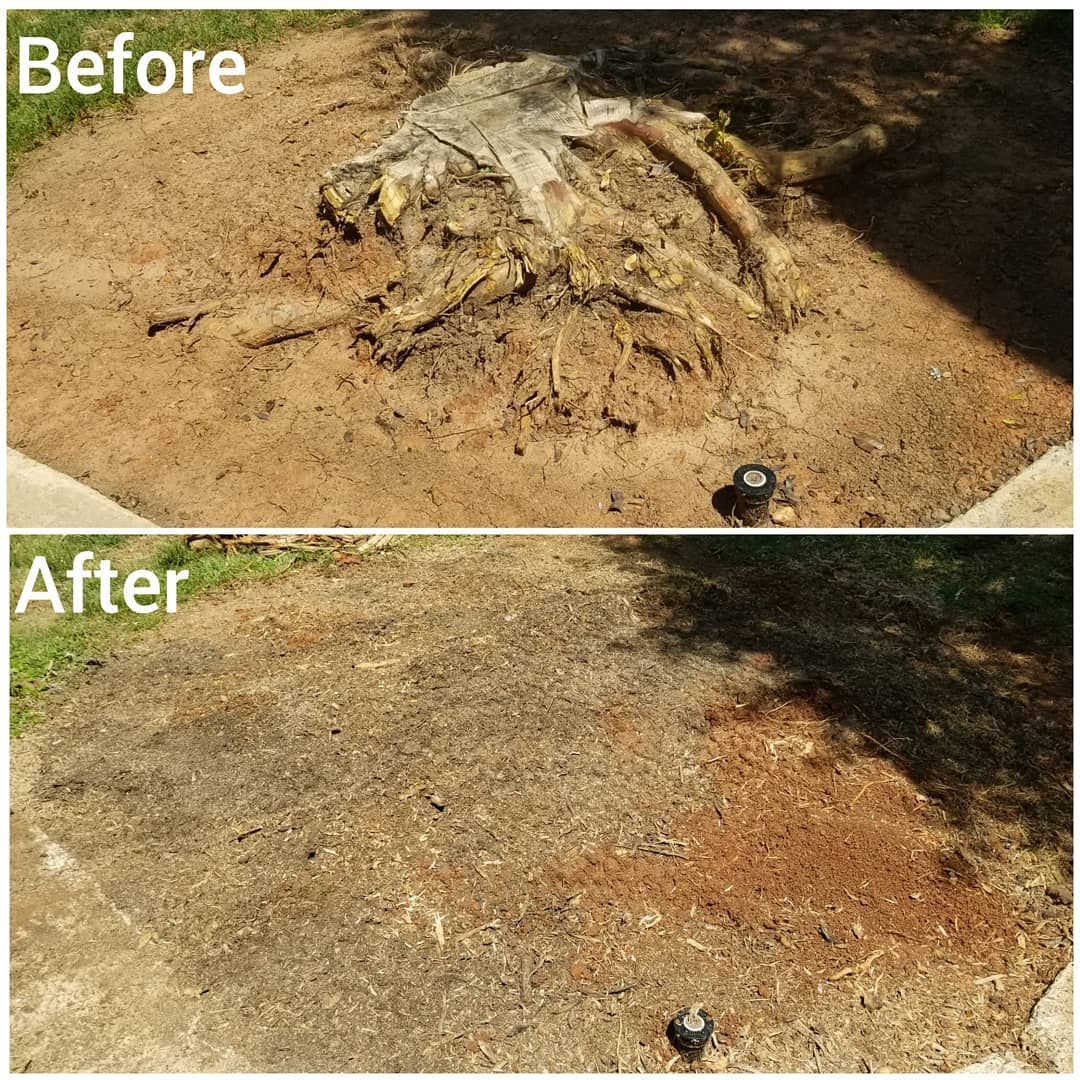 Stump-Grinding for Fayette Property Solutions in Fayetteville, GA