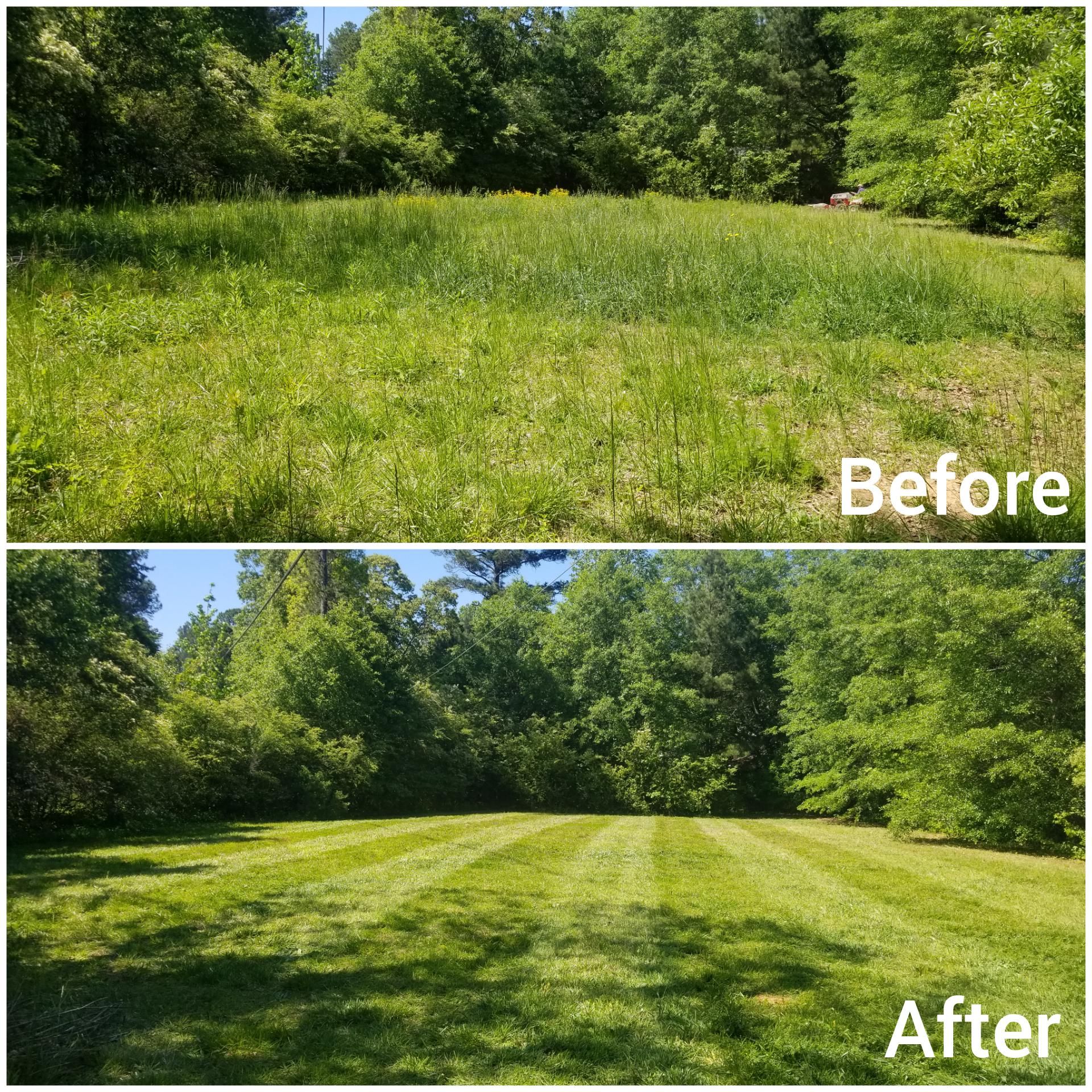 Brush Removal for Fayette Property Solutions in Fayetteville, GA