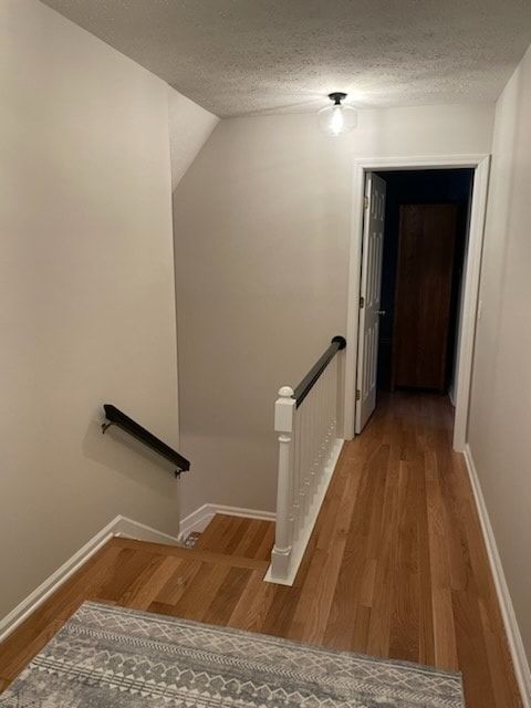 Drywall and Plastering for Roman Painting in Windham, Ohio