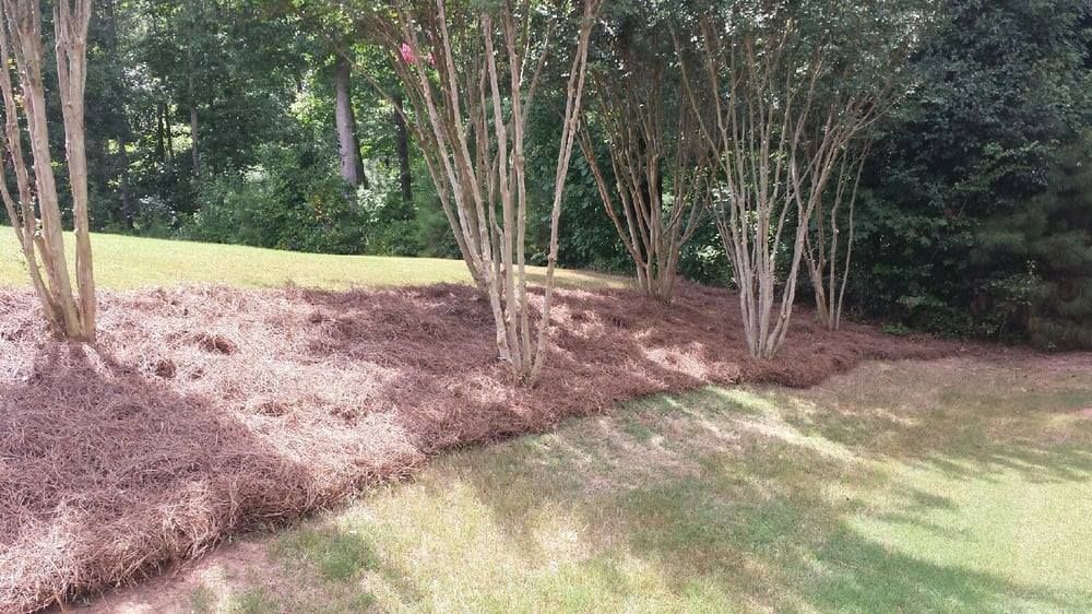 Fertilization for Terra Bites Lawn Service in Braselton, GA