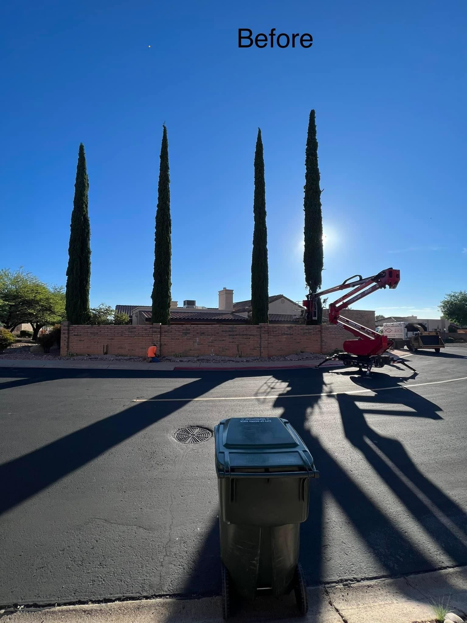 Stump Removal for By Faith Landscaping in Sierra Vista, AZ