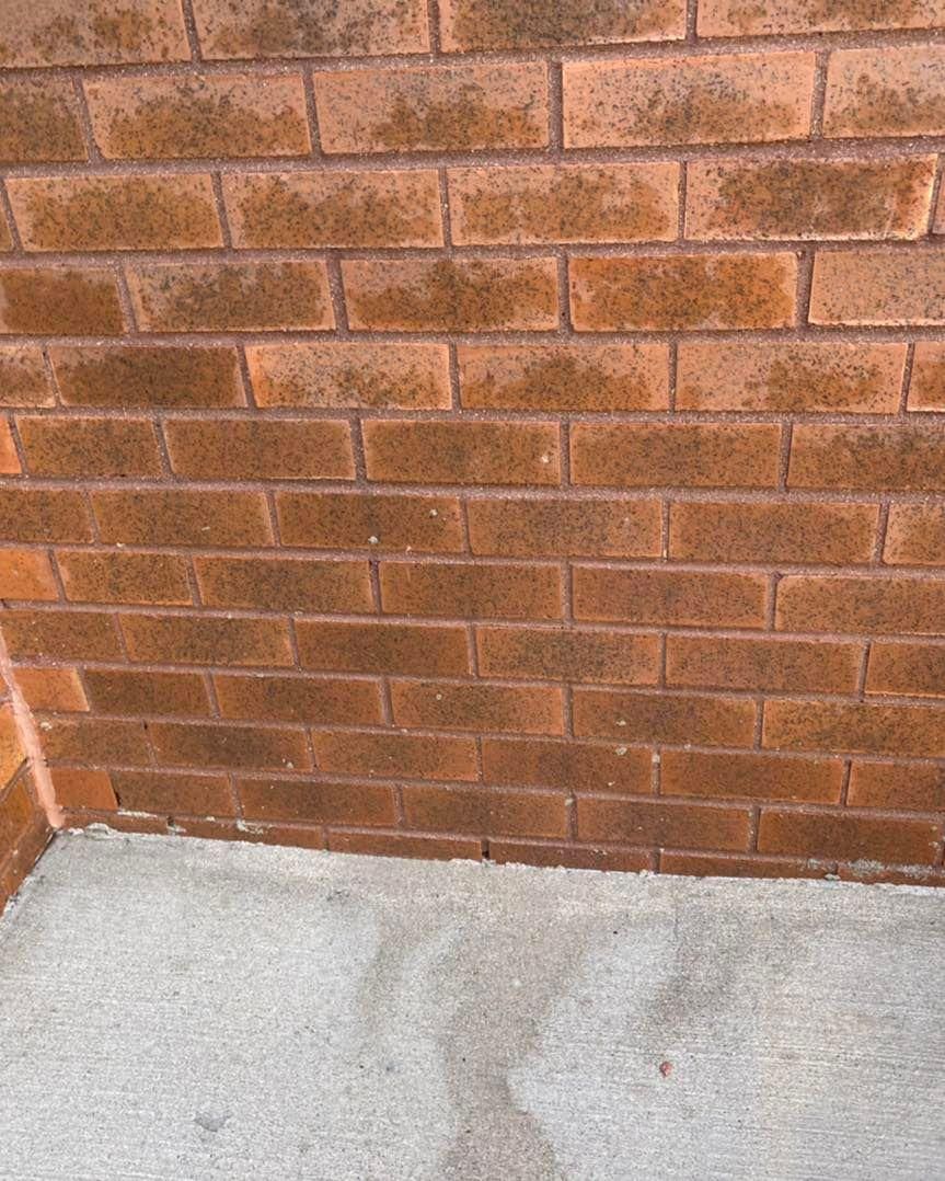 House and Roof Softwash for Oakland Power Washing in Clarksville, TN