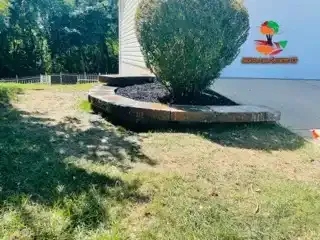 Leaf Removal  for Jackson Lawn Services LLC in Florissant, MO