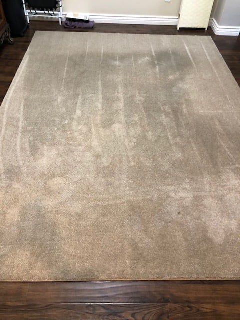 Tile and Grout Cleaning for TLC Tile Cleaning & Restoration in Surprise, Arizona