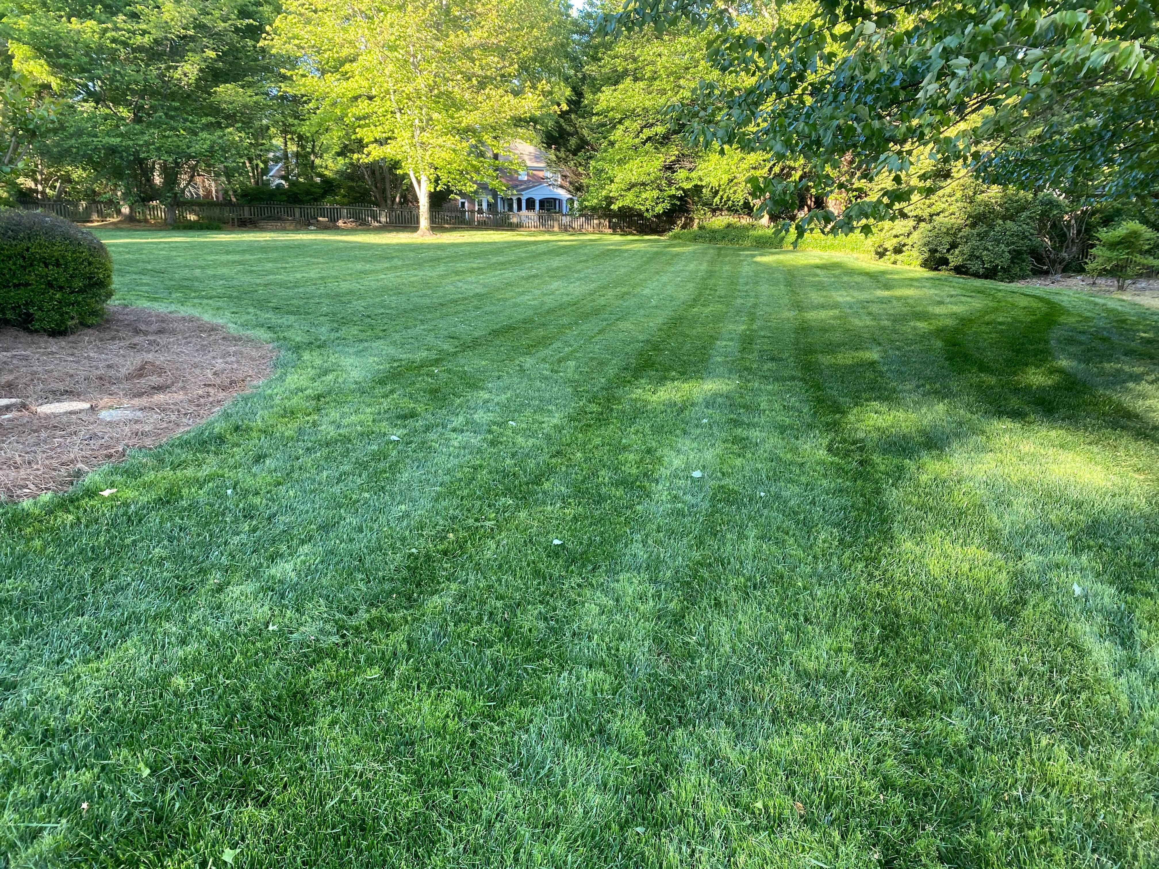 Photo number 6 of Sunrise Lawn Care & Weed Control LLC's best work performing a null job