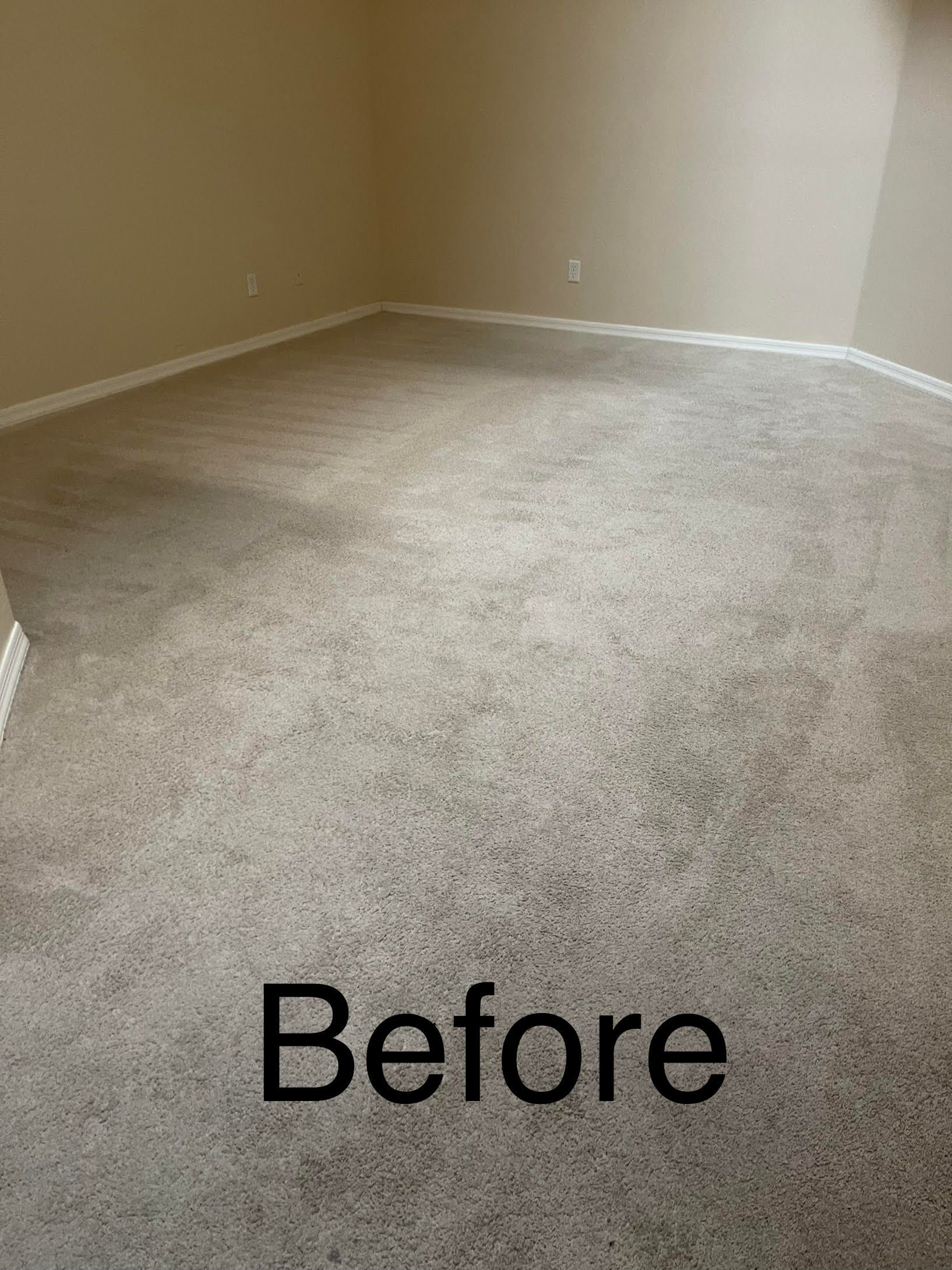Carpet Cleaning for Superstition Carpet and Tile Care LLC in Apache Junction, AZ