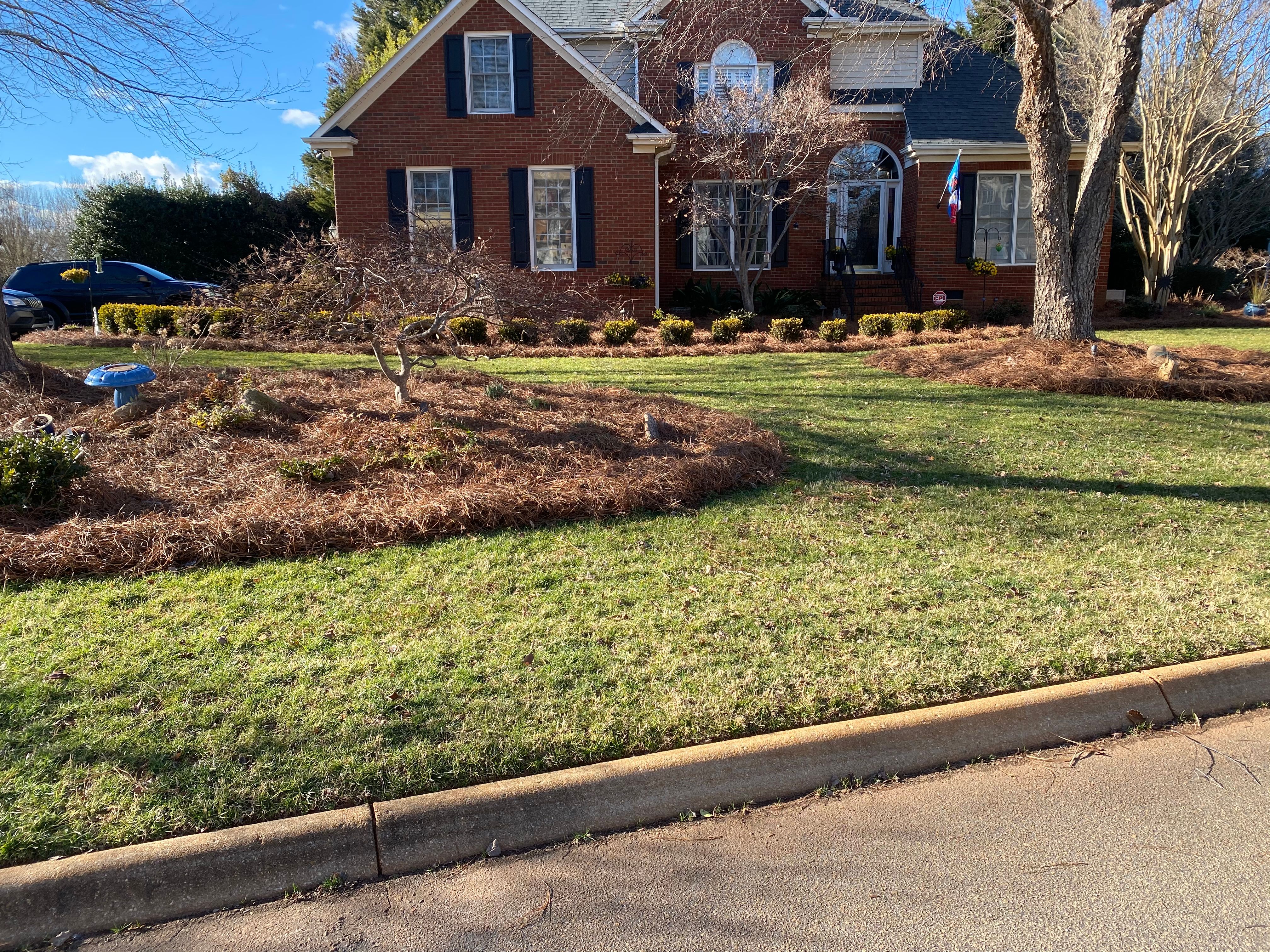 Photo number 20 of Sunrise Lawn Care & Weed Control LLC's best work performing a null job