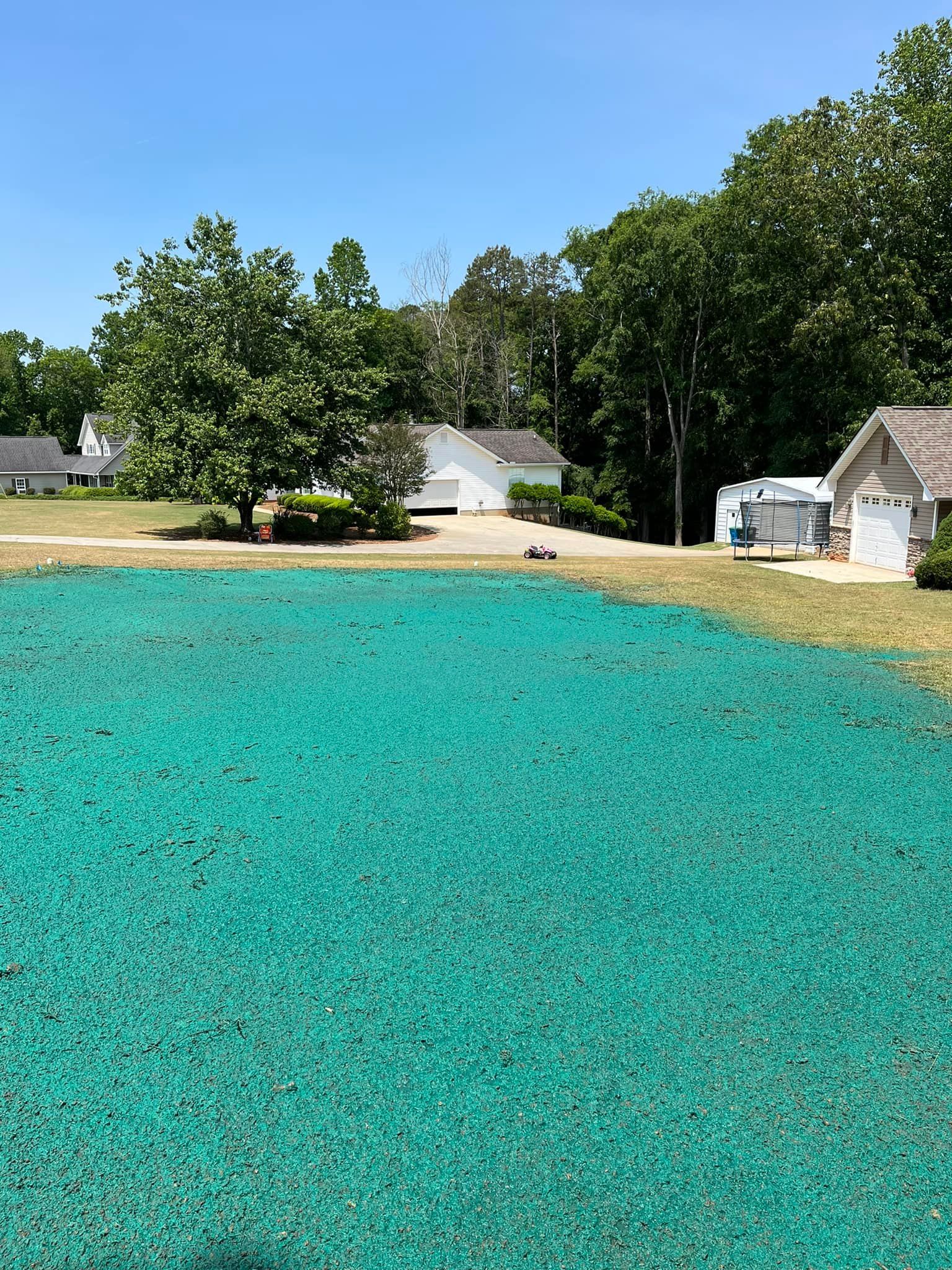 Hydro Seeding Near Me