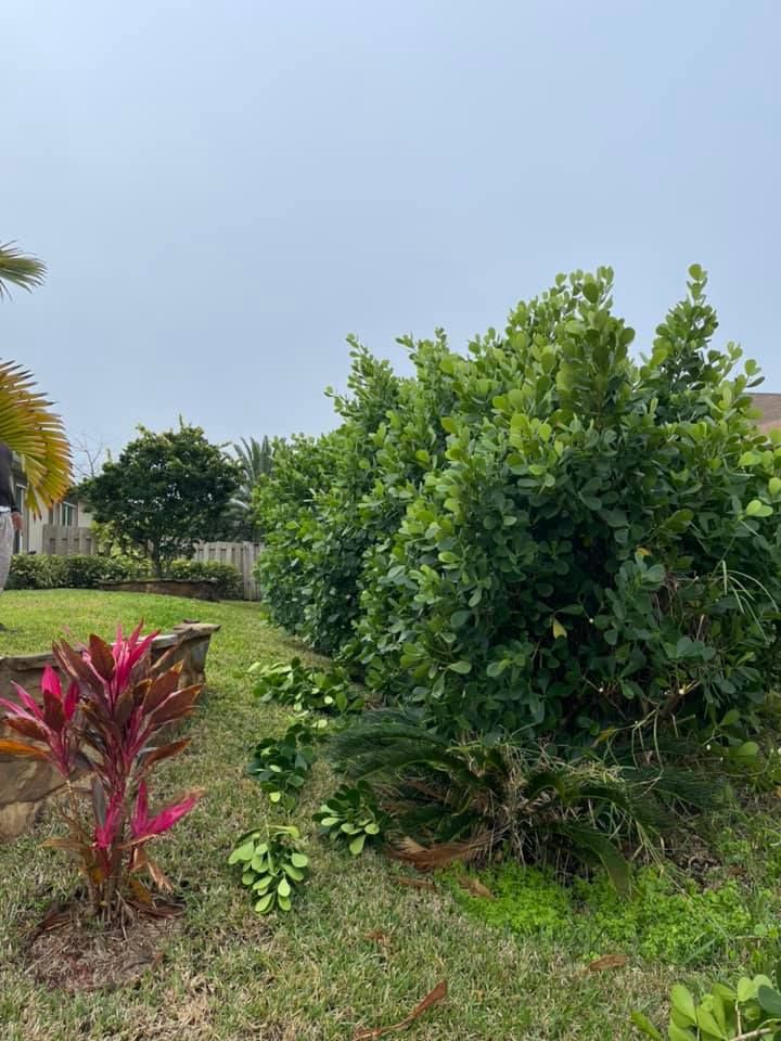 Landscape Design & Installation for Lawn Caring Guys in Cape Coral, FL