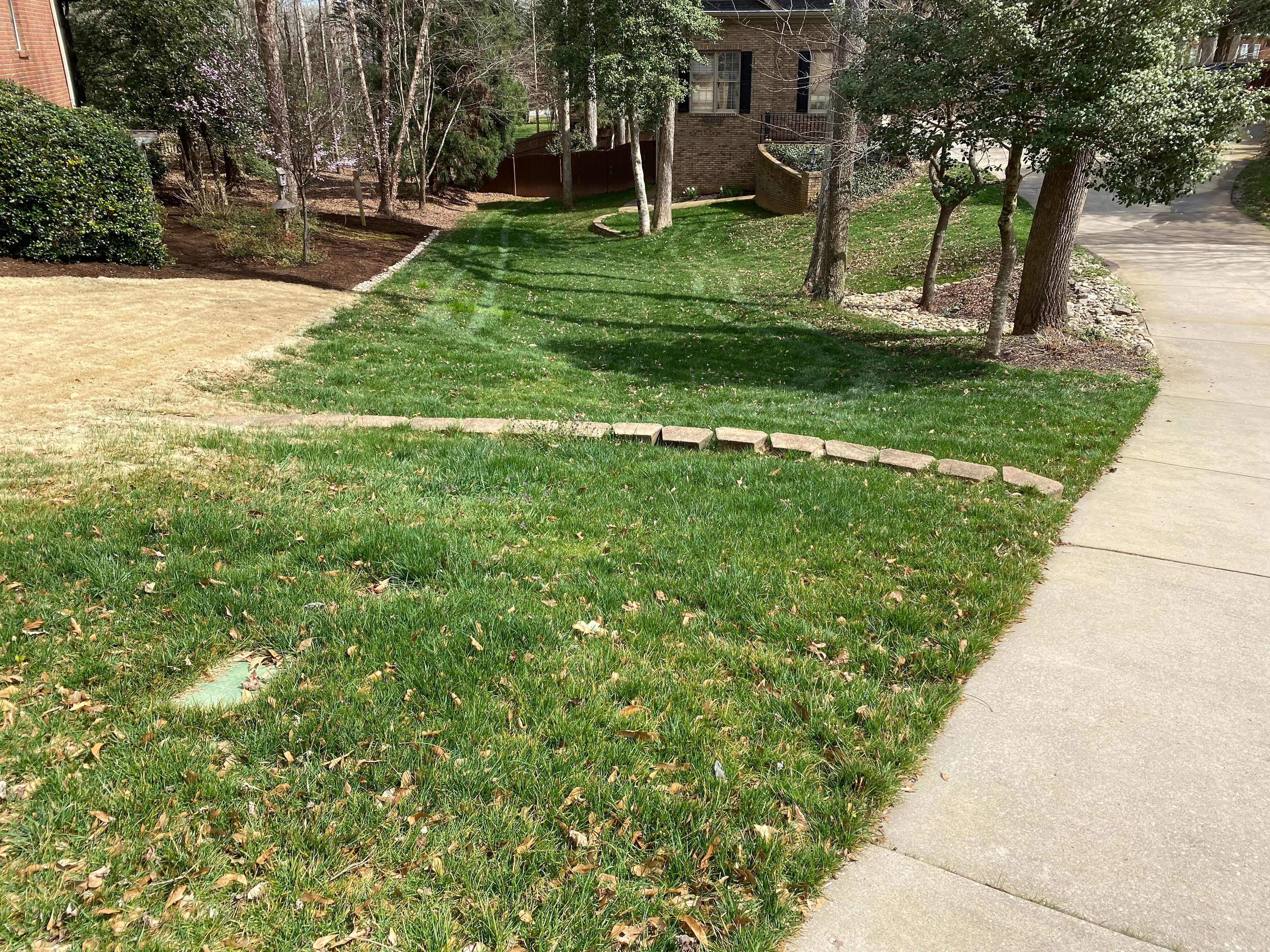 Photo number 19 of Sunrise Lawn Care & Weed Control LLC's best work performing a null job