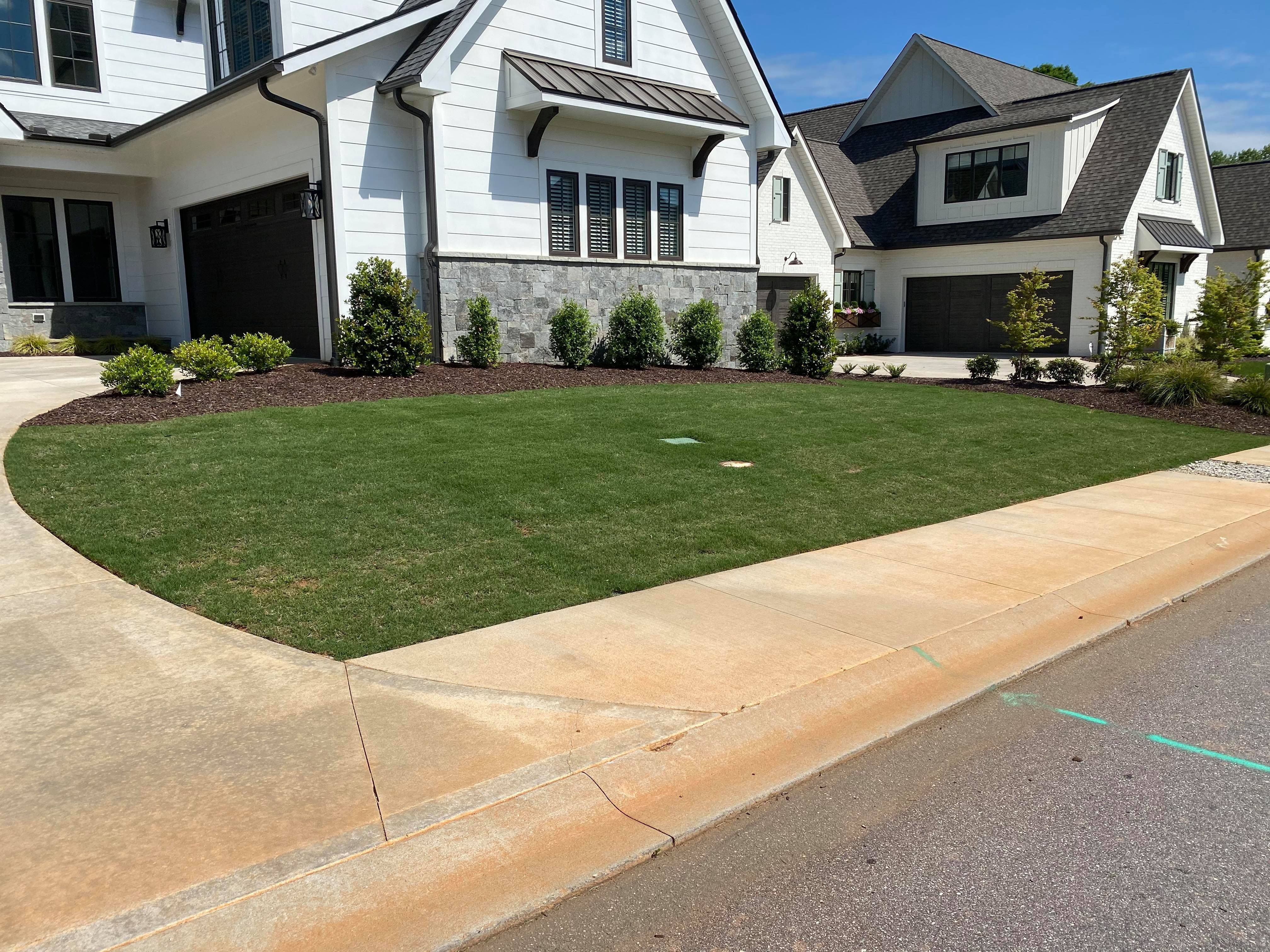 Photo number 9 of Sunrise Lawn Care & Weed Control LLC's best work performing a null job
