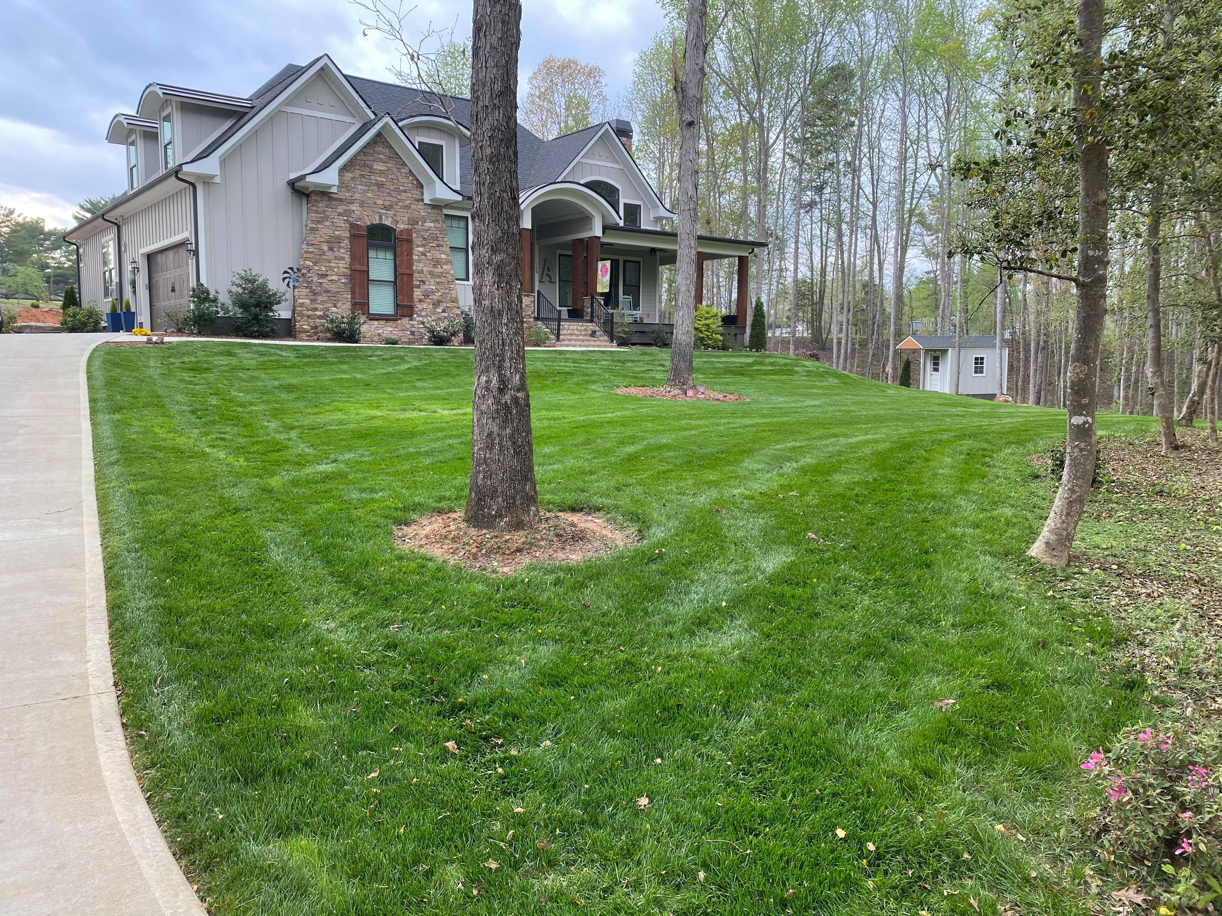 Photo number 3 of Sunrise Lawn Care & Weed Control LLC's best work performing a null job