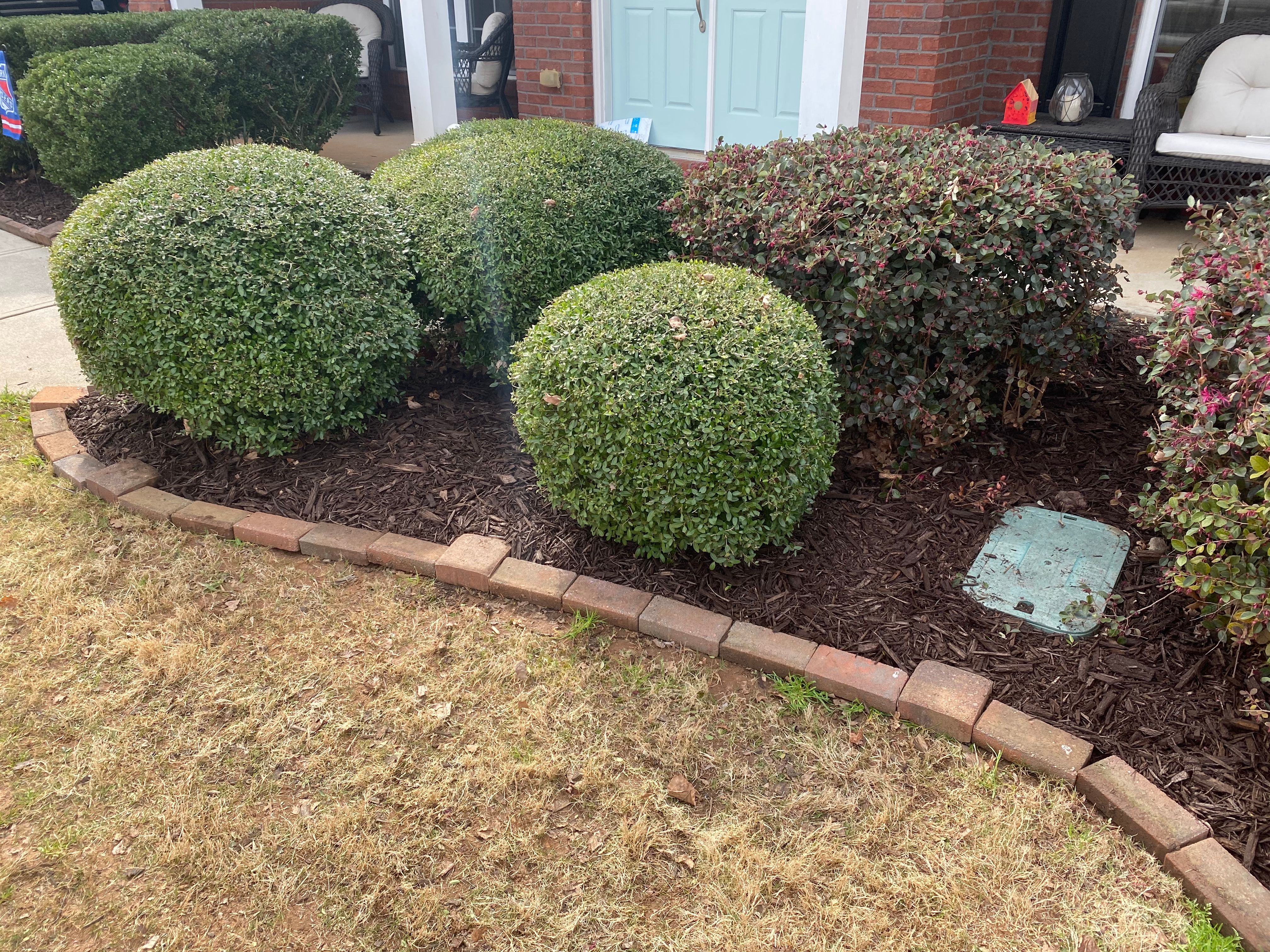 Photo number 18 of Sunrise Lawn Care & Weed Control LLC's best work performing a null job