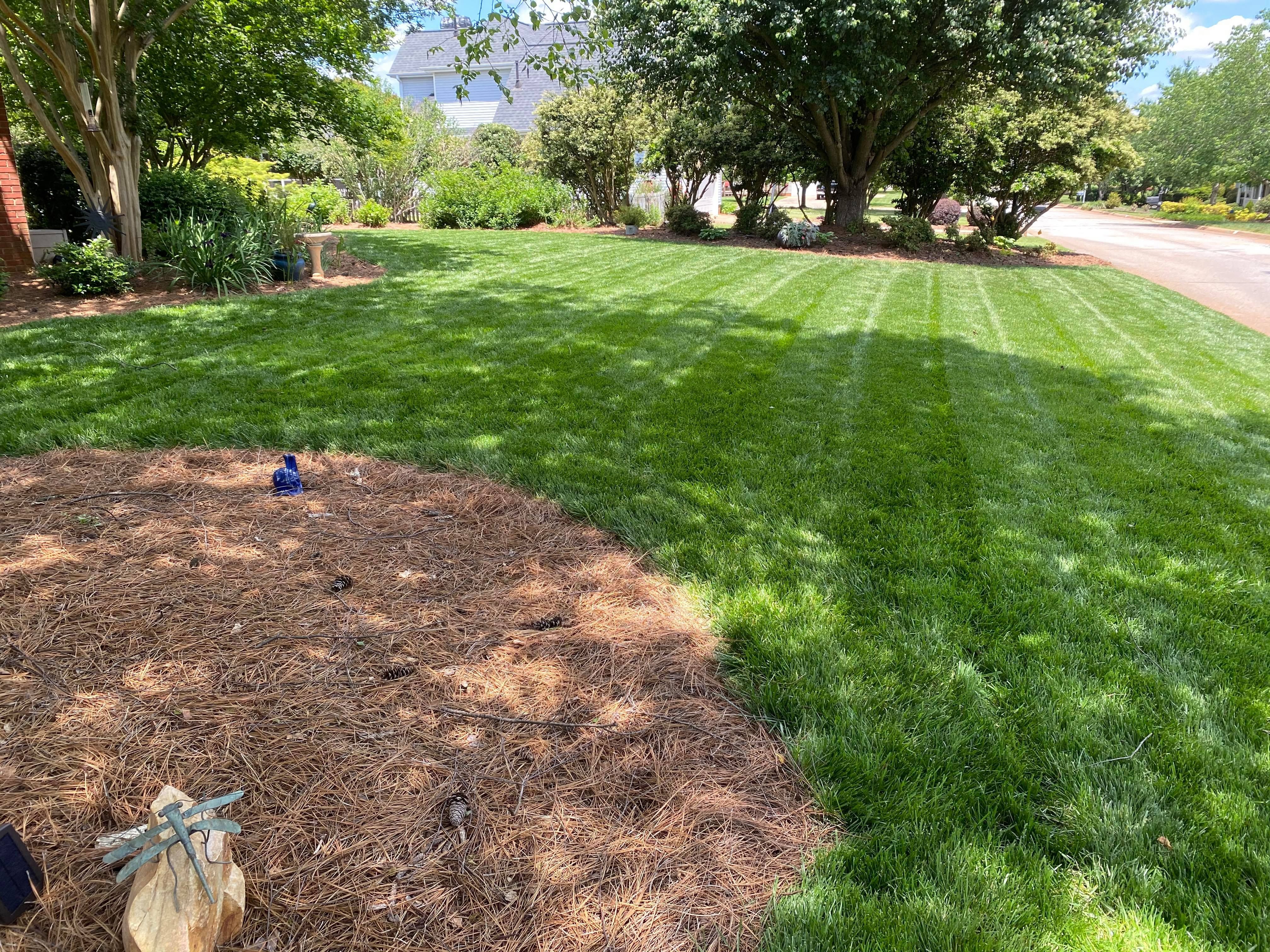 Photo number 5 of Sunrise Lawn Care & Weed Control LLC's best work performing a null job