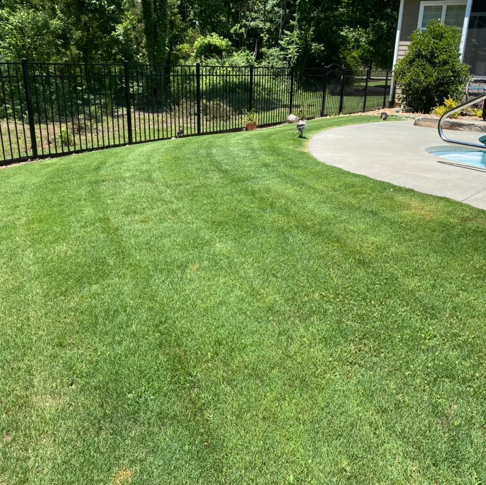 Photo number 10 of Sunrise Lawn Care & Weed Control LLC's best work performing a null job