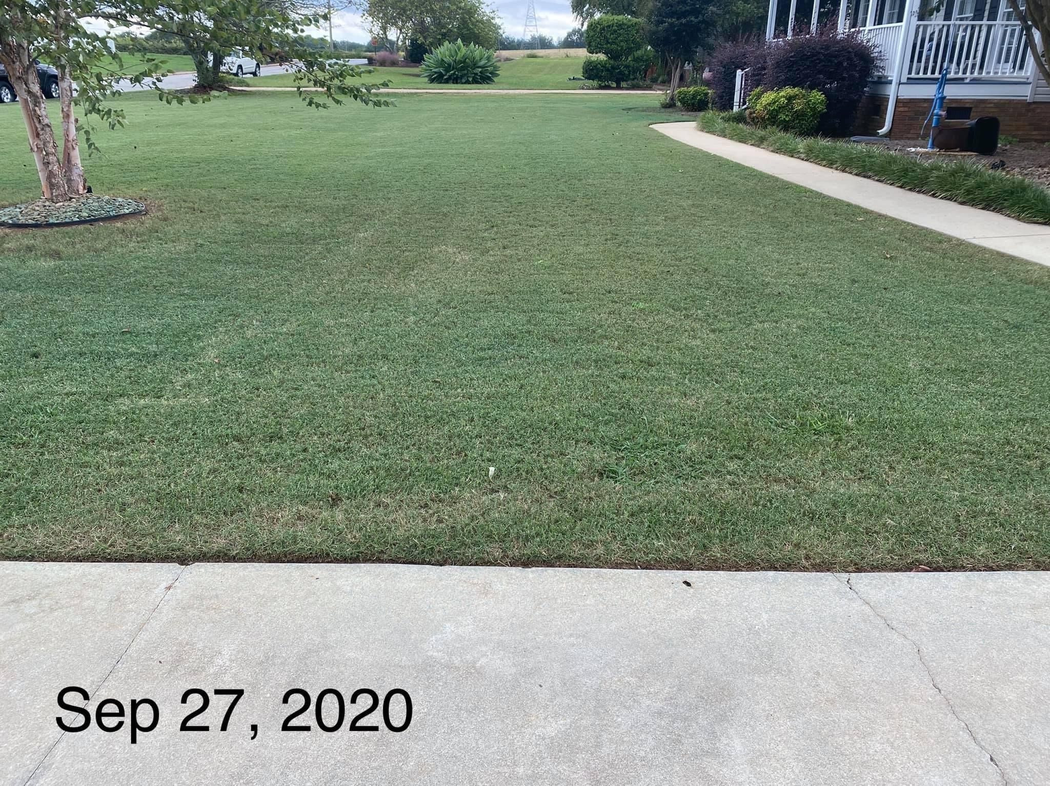 Photo number 22 of Sunrise Lawn Care & Weed Control LLC's best work performing a null job