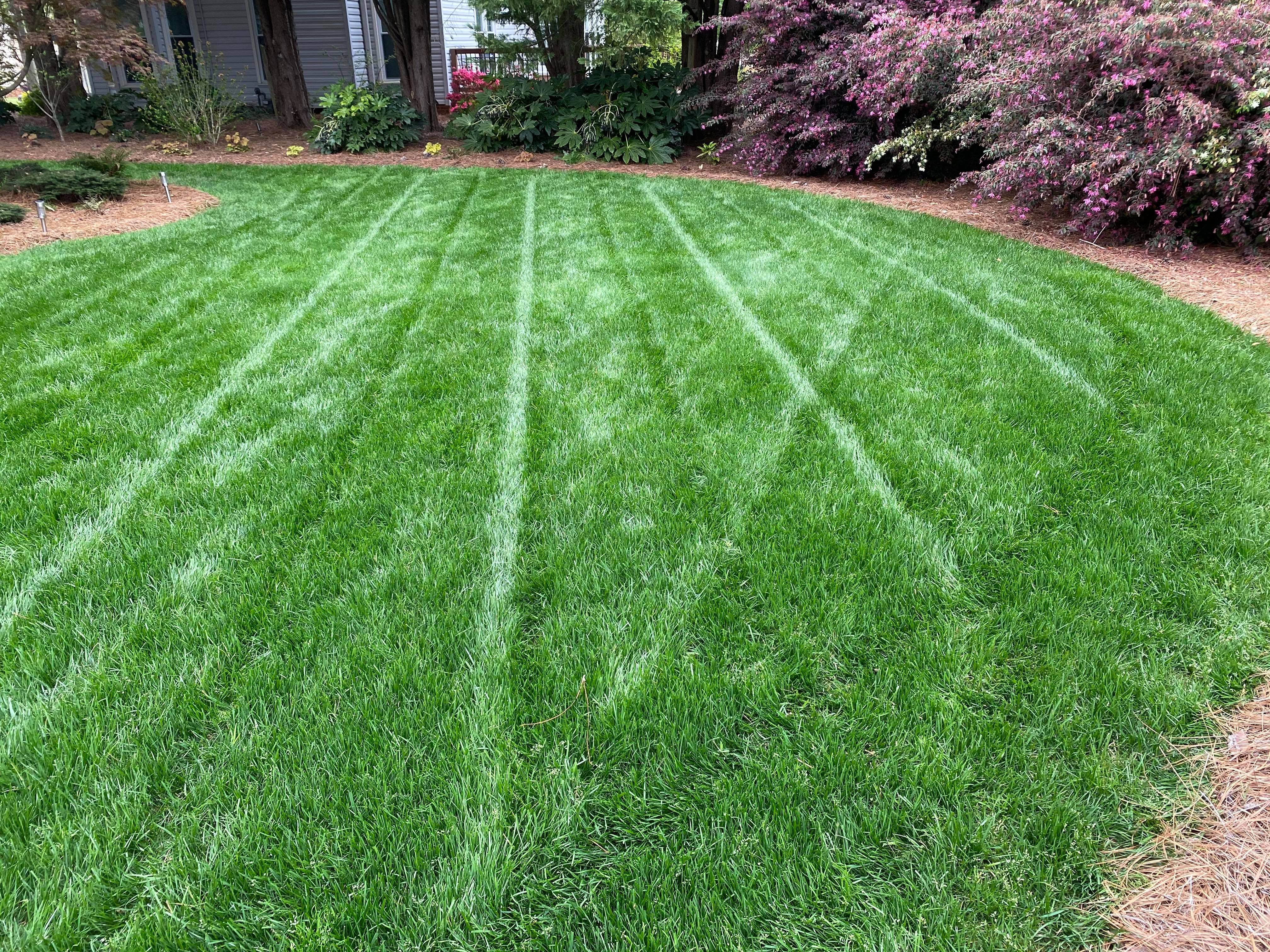 Photo number 2 of Sunrise Lawn Care & Weed Control LLC's best work performing a null job