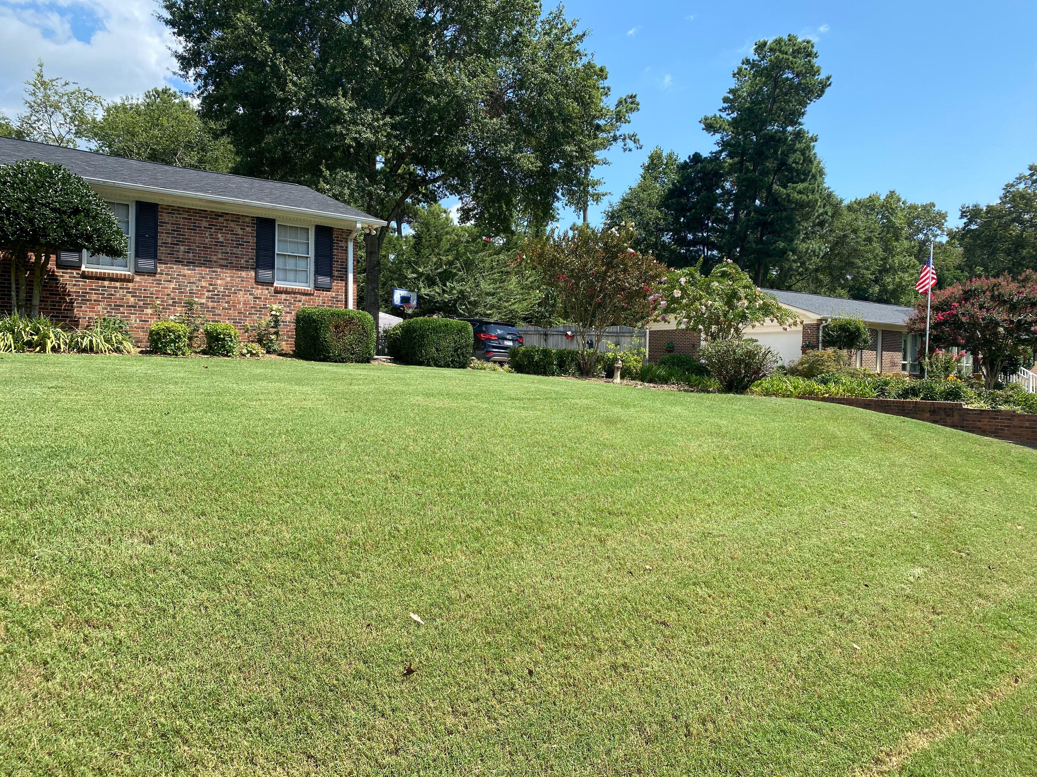 Photo number 25 of Sunrise Lawn Care & Weed Control LLC's best work performing a null job