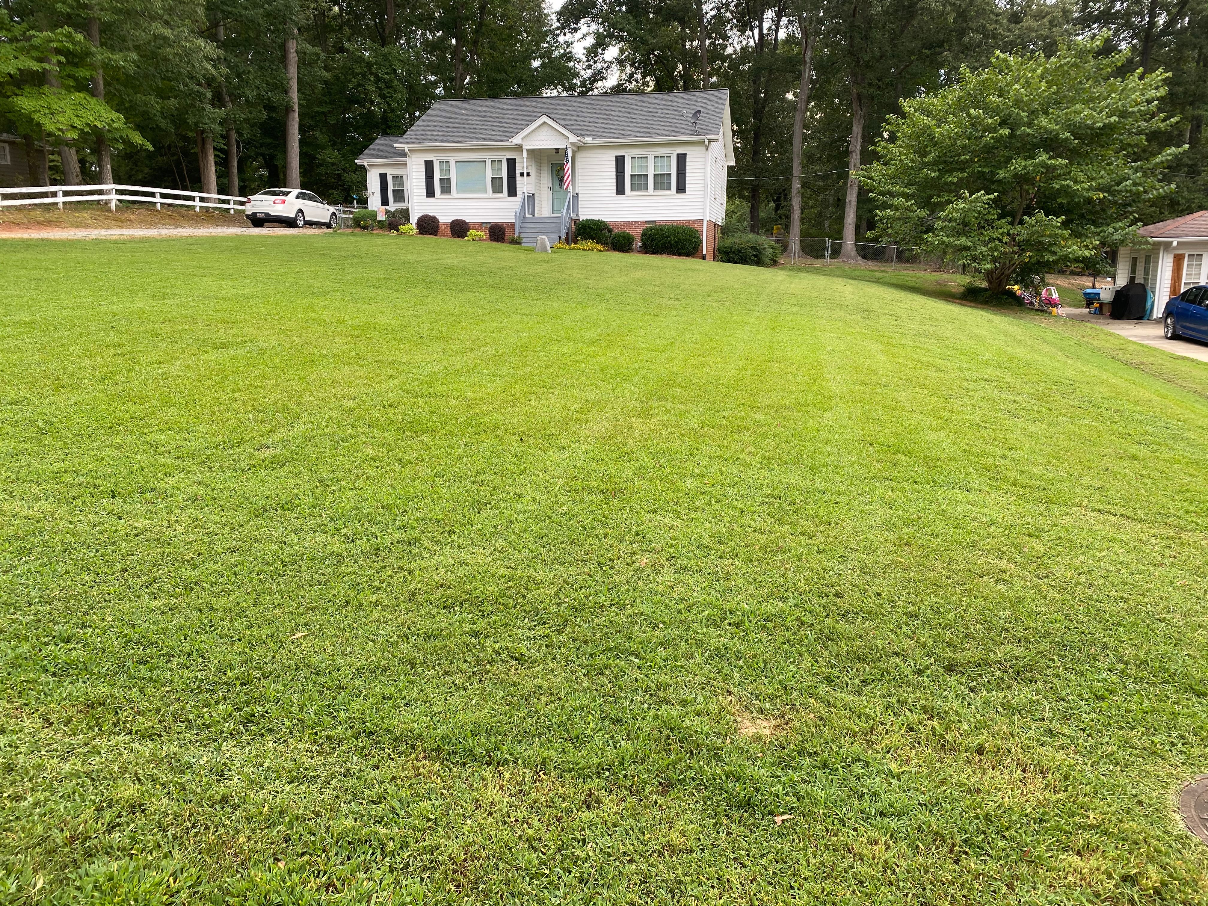 Photo number 26 of Sunrise Lawn Care & Weed Control LLC's best work performing a null job