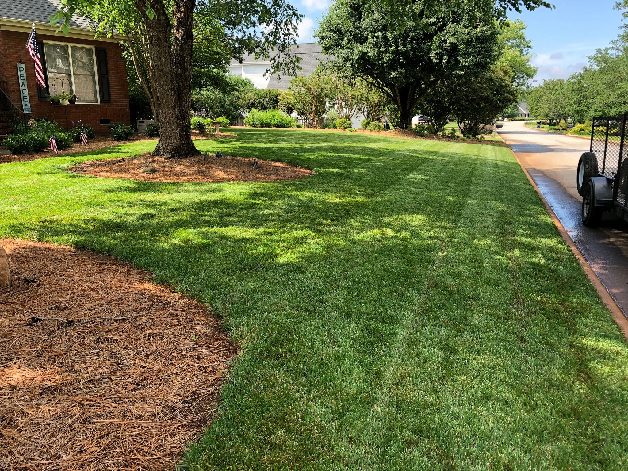 Photo number 29 of Sunrise Lawn Care & Weed Control LLC's best work performing a null job