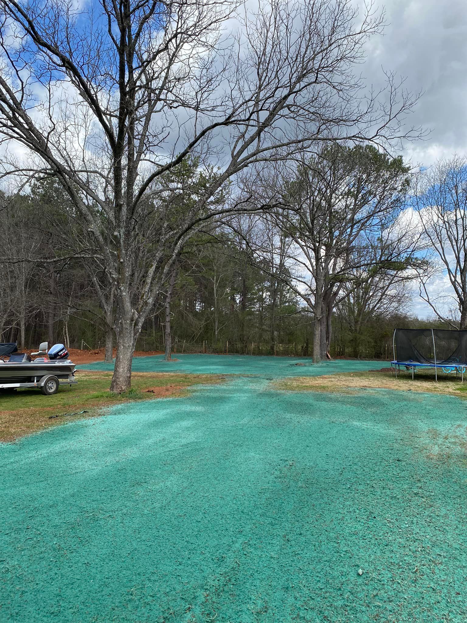 Hydro Seeding Near Me