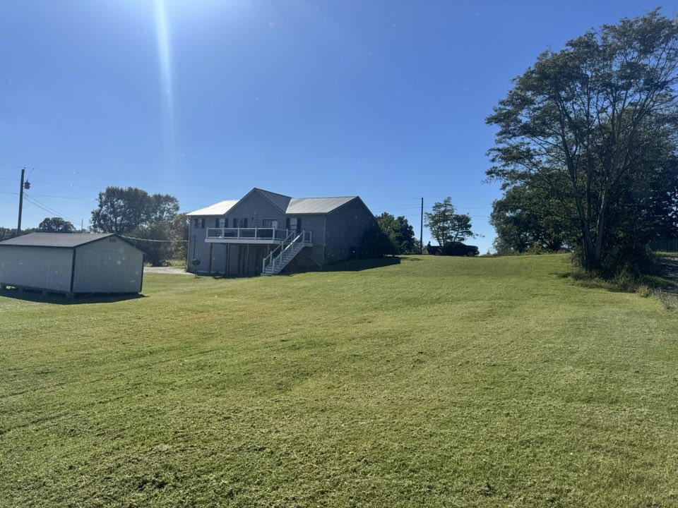 Tree and shrub care Dyersburg TN