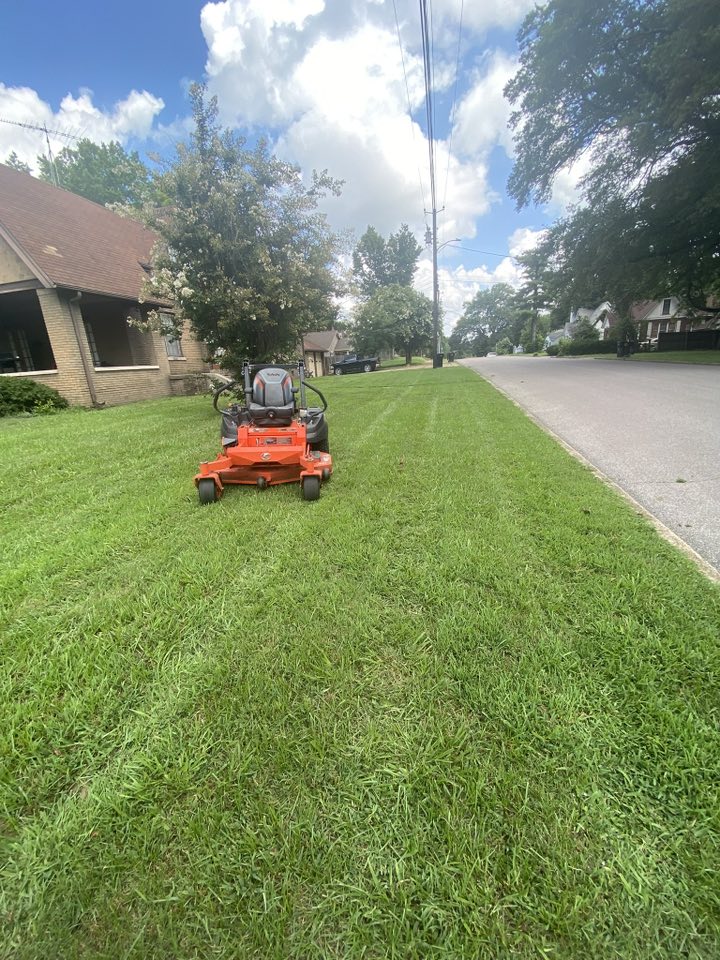 Apex Lawn & Landscaping team Dyersburg TN